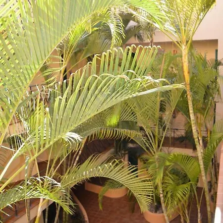 Lejlighed Parque Tropical